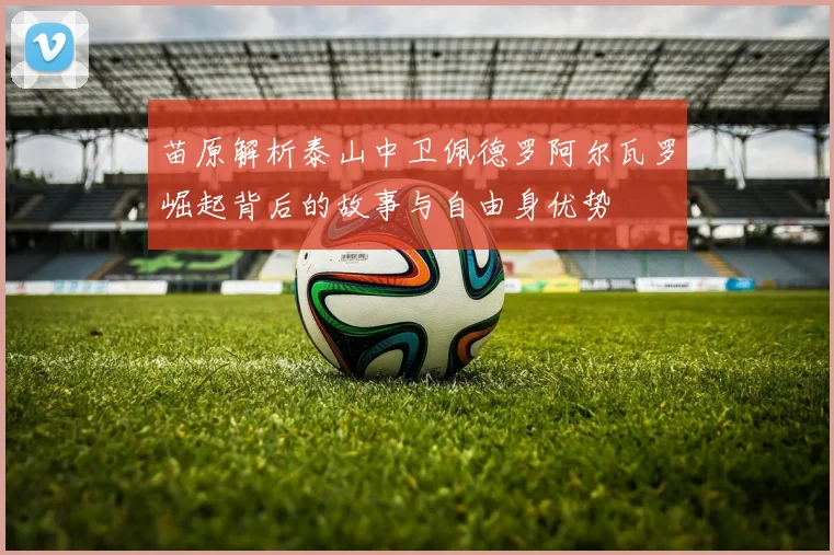 苗原解析泰山中卫佩德罗阿尔瓦罗崛起背后的故事与自由身优势