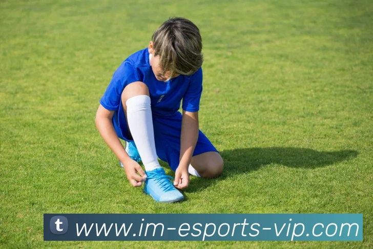 IM体育平台生态图